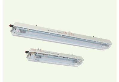 Explosion-Proof Light Fittings with LED Tubes